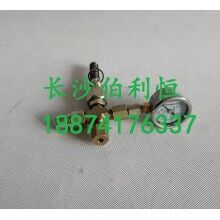 批發(fā)原裝正品攪拌機(jī)配件，三一JX3000潤(rùn)滑油泵芯