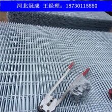 鍍鋅電焊網(wǎng),鍍鋅電焊網(wǎng)廠家,首選安平冠成電焊網(wǎng)廠